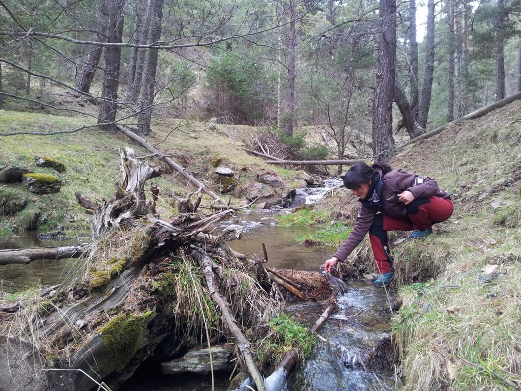 Xalet Refugi Pere Carne Hostel La Molina  Buitenkant foto